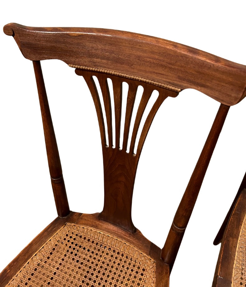 Set of 2 Vintage Chairs