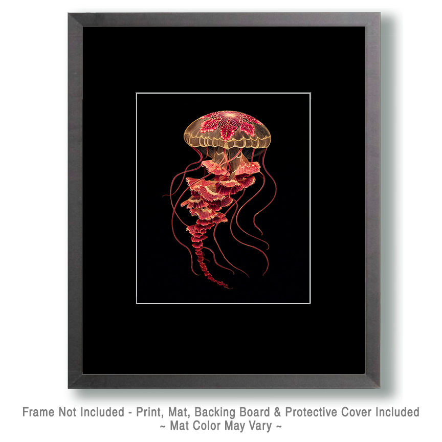 Stylized Jellyfish Art Print - 8"x10" Artwork for 12"x14" Frame