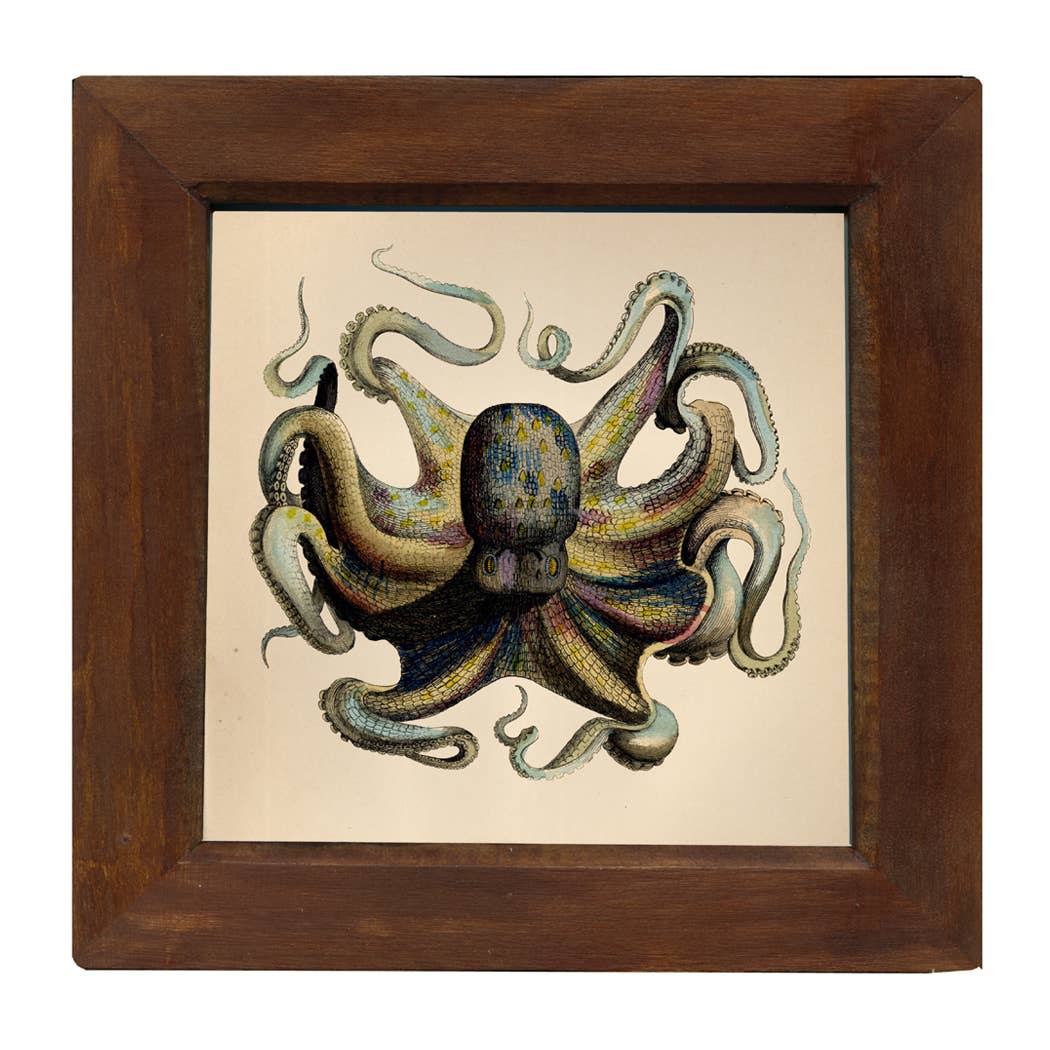 9-3/4" x 9-3/4" Octopus Vintage Print Behind Glass