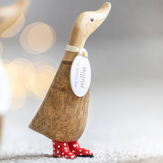 Spotty Boots Dinky Ducks