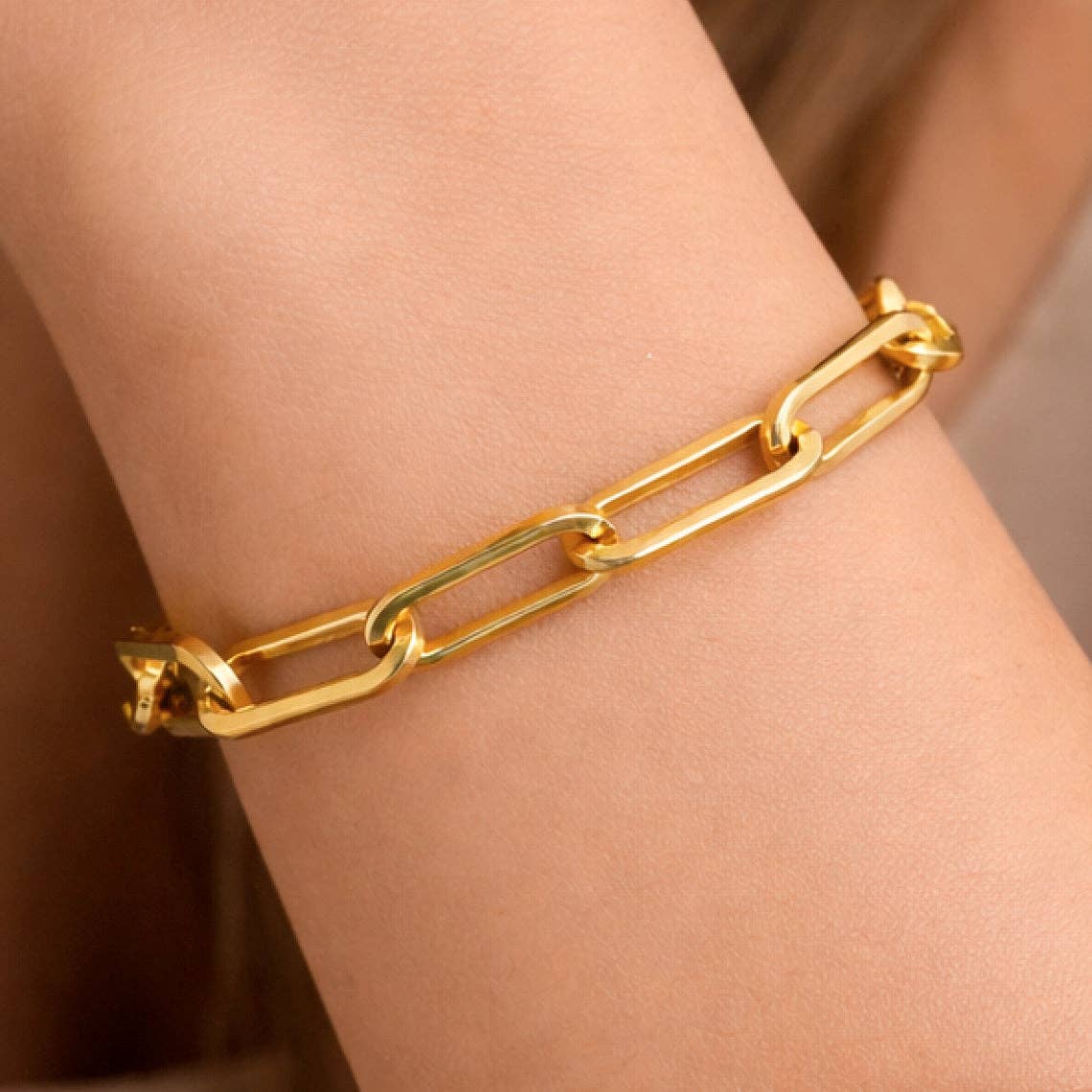 18K Gold PVD Plated Waterproof Stainless Steel Chain Bracelet - 7351
