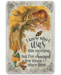 Alice in Wonderland - I Knew Who I Was This Morning - Metal