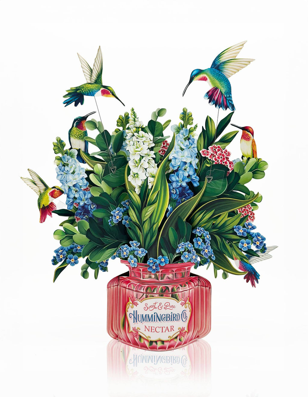 Hummingbird Oasis (8 Pop-up Greeting Cards)