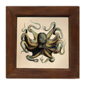 9-3/4" x 9-3/4" Octopus Vintage Print Behind Glass