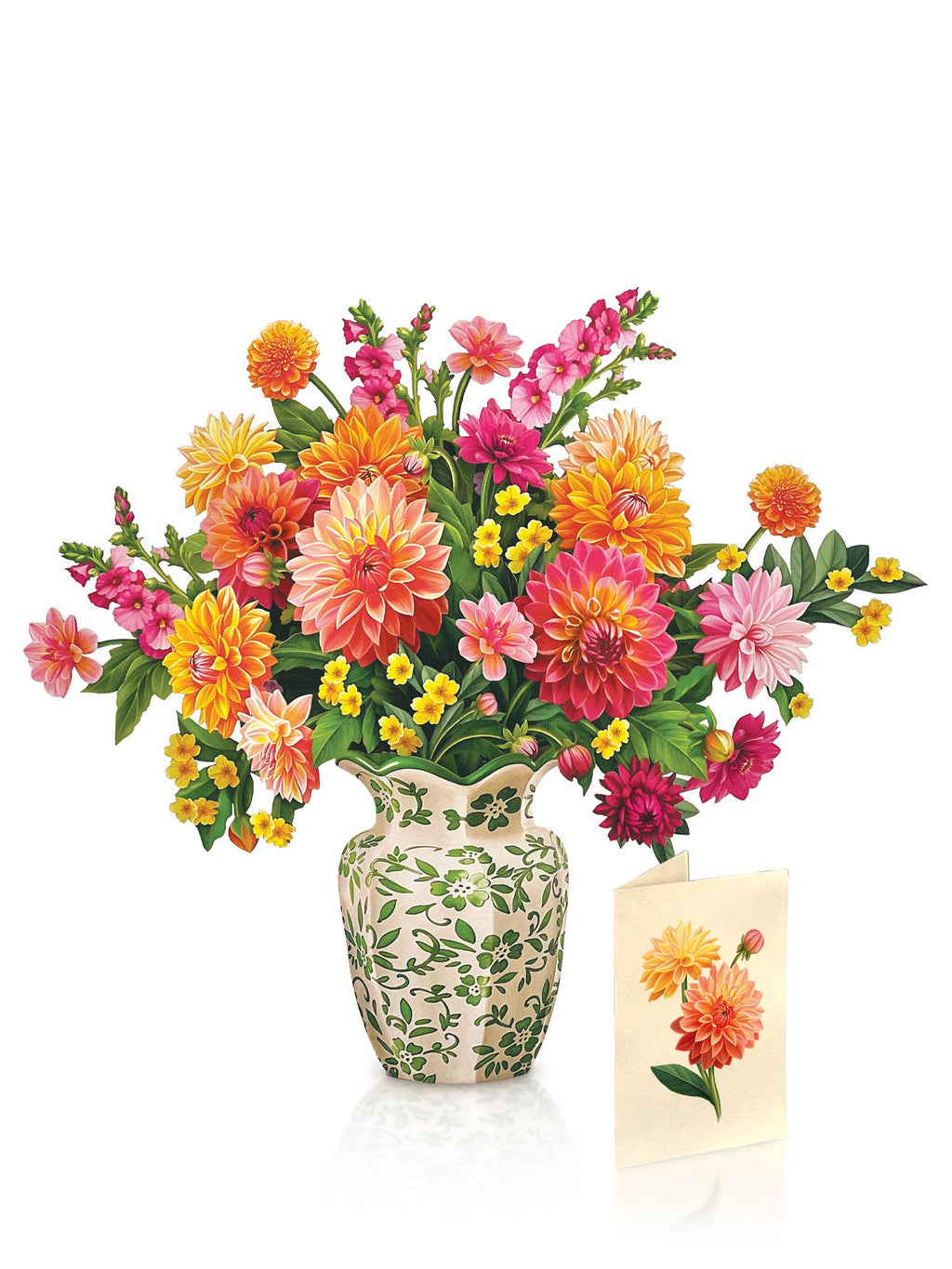 Dahlia Sunrise (8 Pop-up Greeting Cards)