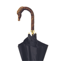 Cavallo Umbrella