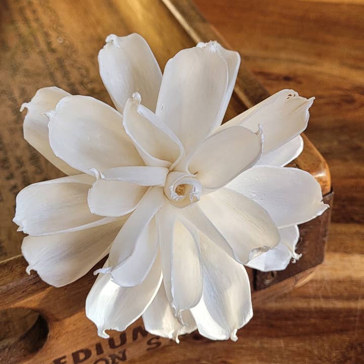 Luxury amber glass fragrance diffuser with sola wood flower