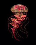 Stylized Jellyfish Art Print - 8"x10" Artwork for 12"x14" Frame