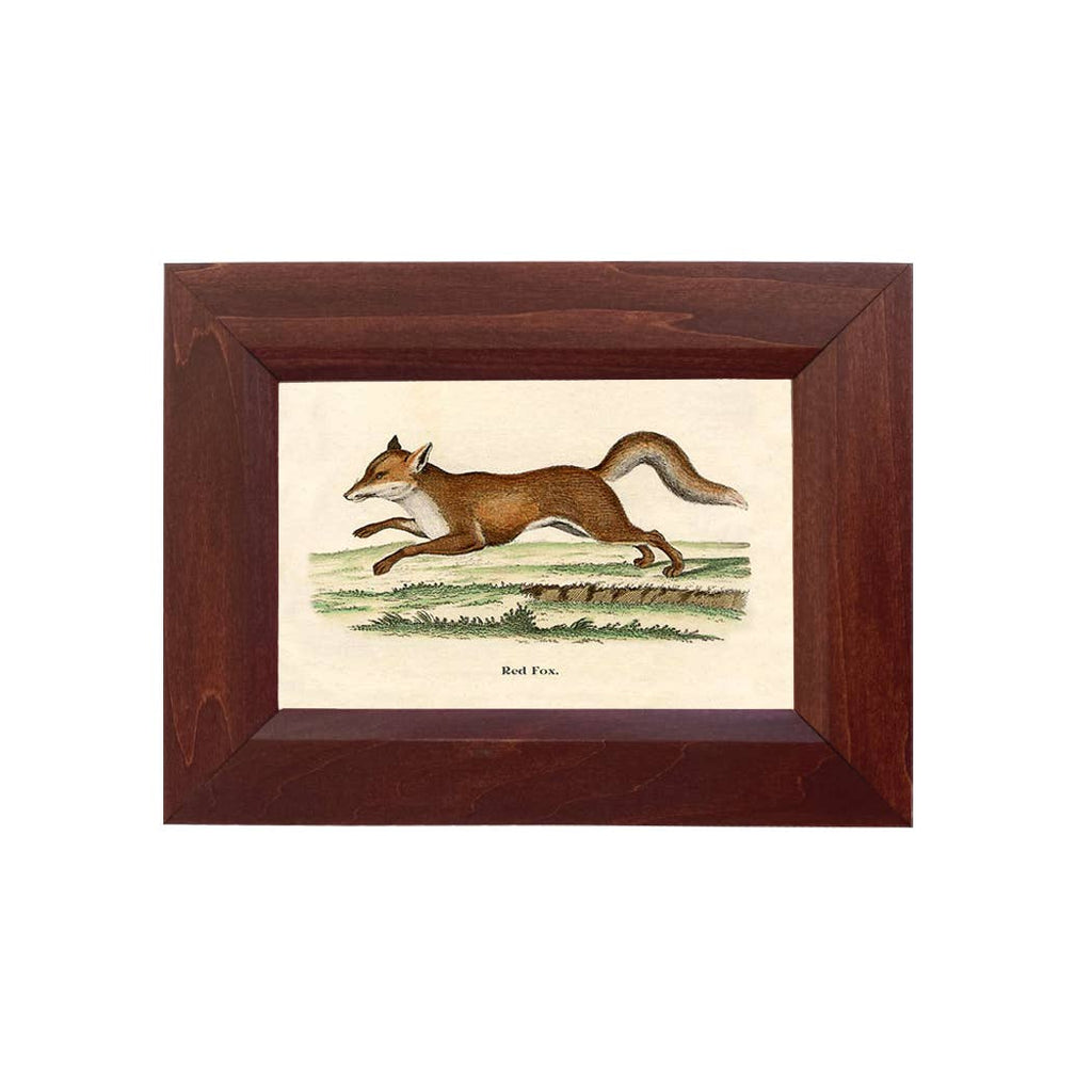 Fox on the Run Vintage Print Behind Glass
