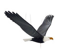 American Bald Eagle BIrd Flying Mobile